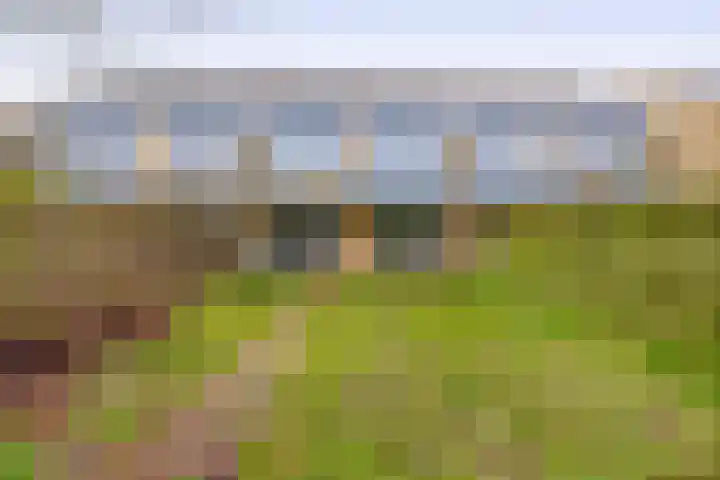 Hoeker 21 Wieringerwerf thumbnail 19