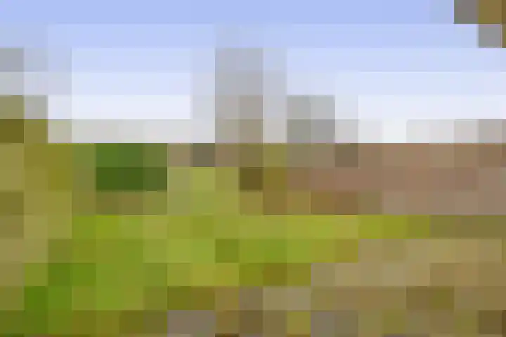 Hoeker 21 Wieringerwerf thumbnail 20