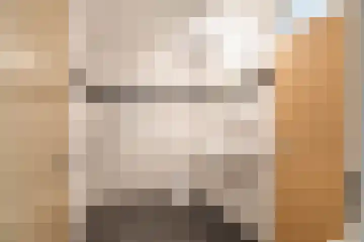 Hoeker 21 Wieringerwerf thumbnail 23