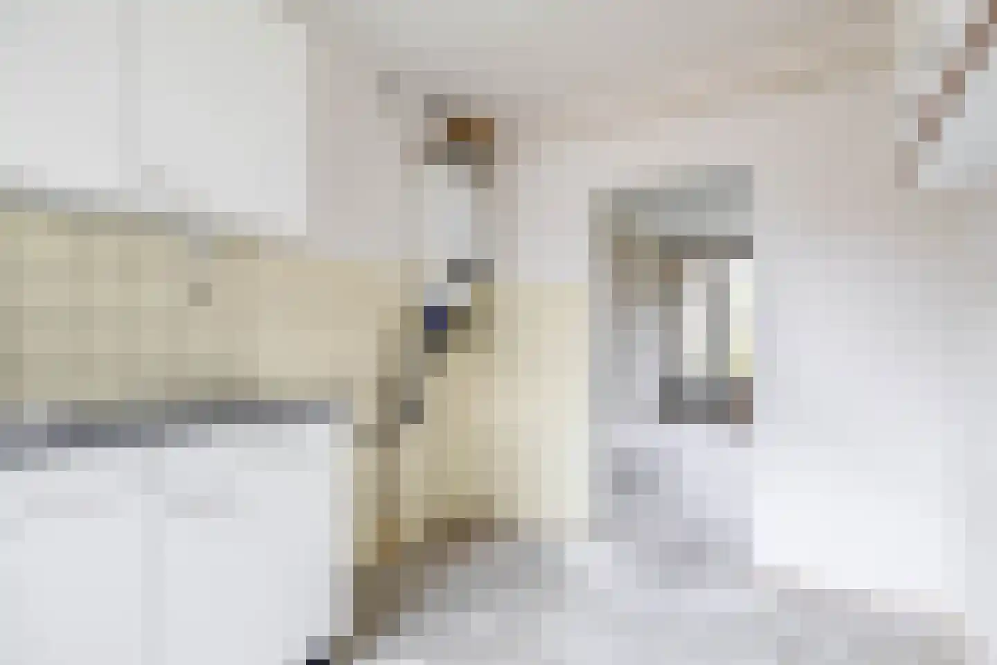 Hoeker 35 Wieringerwerf thumbnail 12