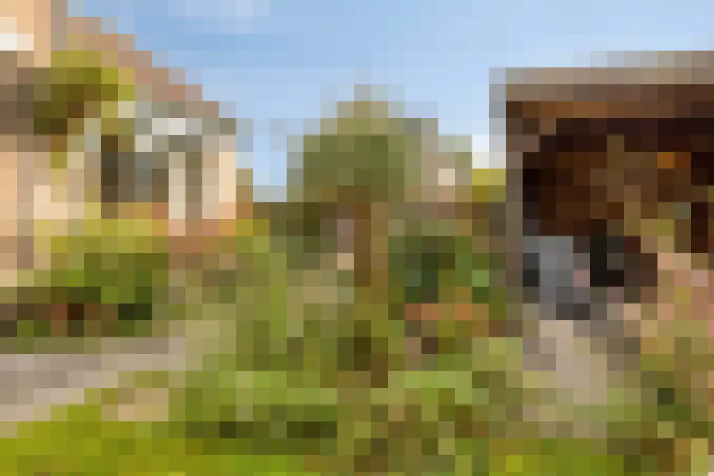 Hoeker 36 Hoorn thumbnail 28