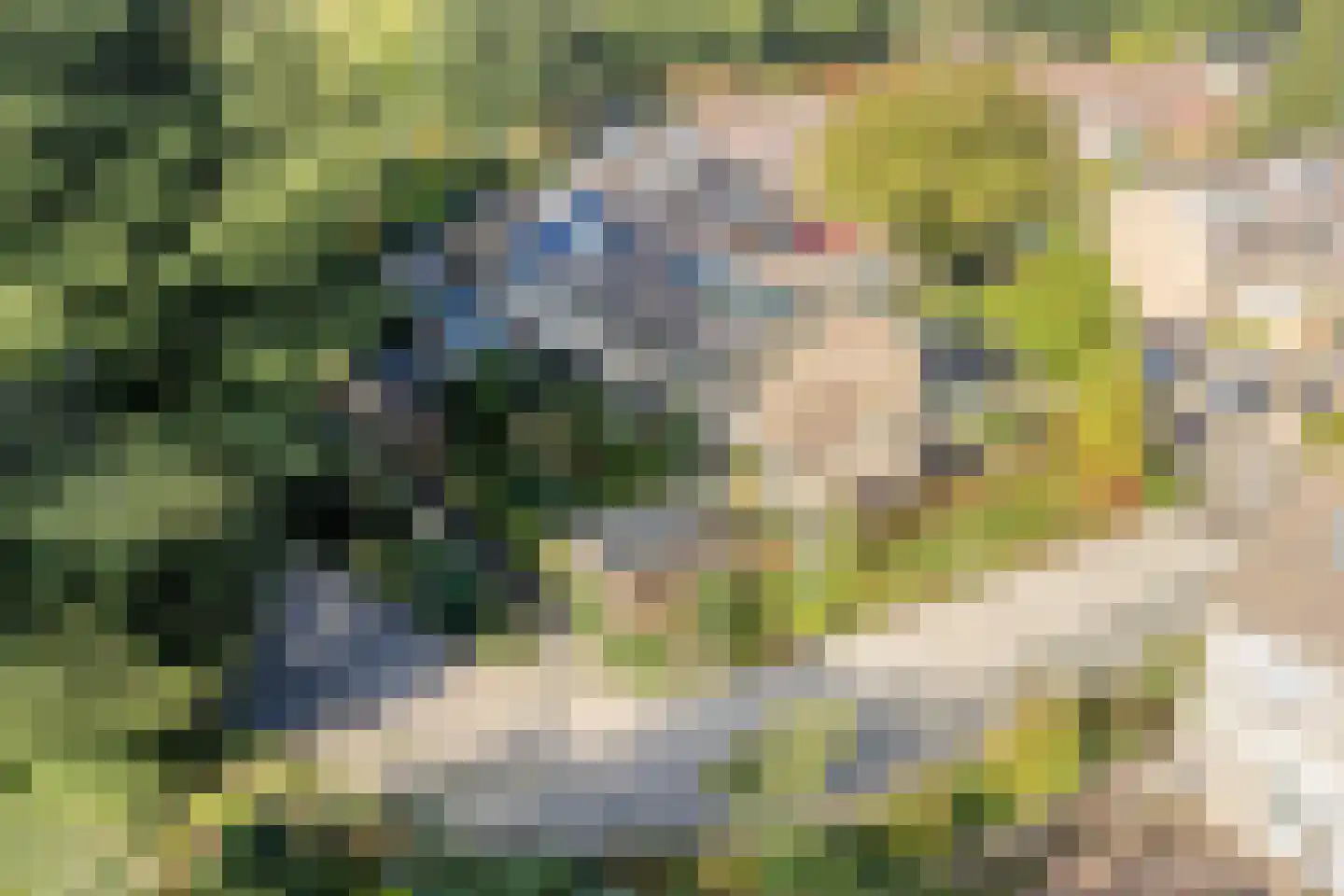 Hoeker 36 Hoorn thumbnail 37