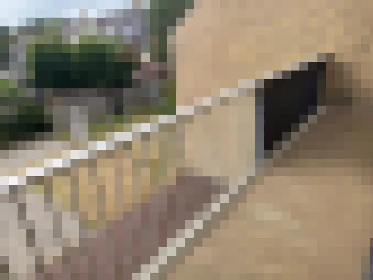 Hoeker 41 Wieringerwerf thumbnail 11