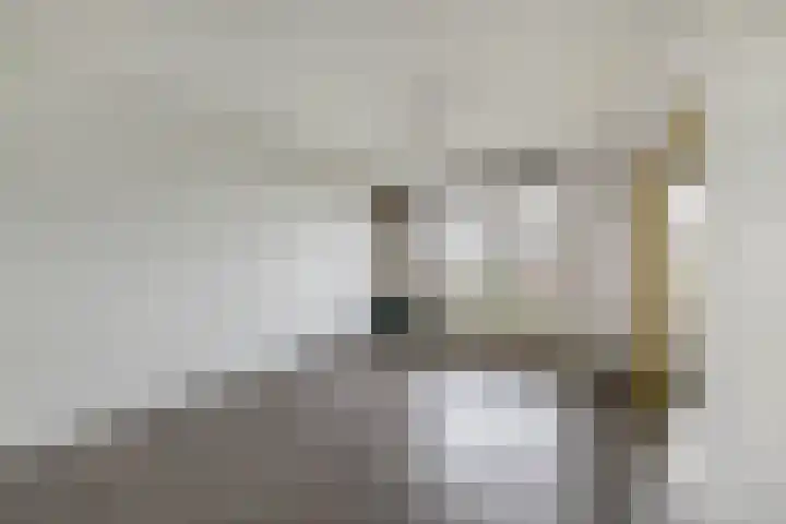 Hoeker 46 Wieringerwerf thumbnail 9