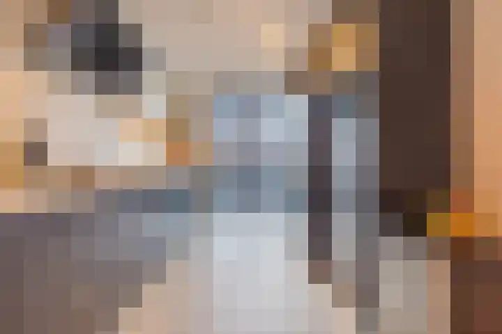 Hoeker 5 Dinteloord thumbnail 14
