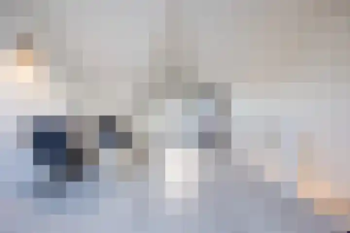 Hoeker 5 Dinteloord thumbnail 35