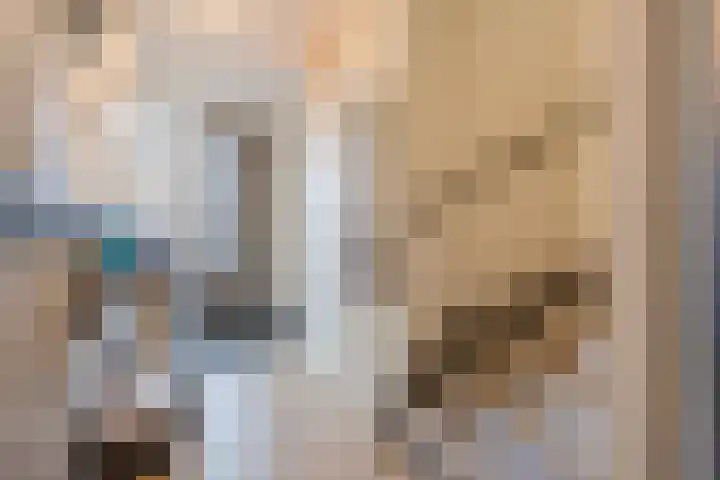 Hoeker 5 Dinteloord thumbnail 4