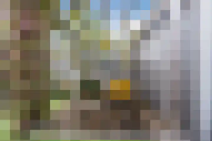 Hoeker 5 Dinteloord thumbnail 40