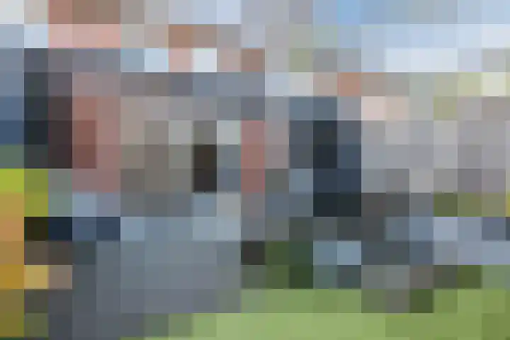 Hoeker 5 Dinteloord thumbnail 42