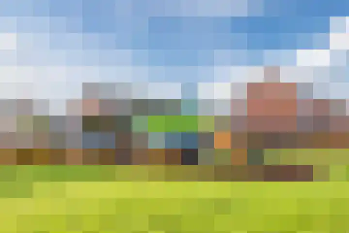 Hoeker 5 Dinteloord thumbnail 46