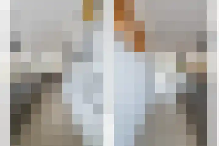 Hoeker 6 Dinteloord thumbnail 15