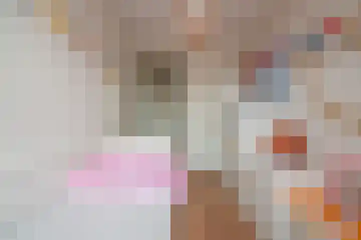 Hoeker 6 Dinteloord thumbnail 18