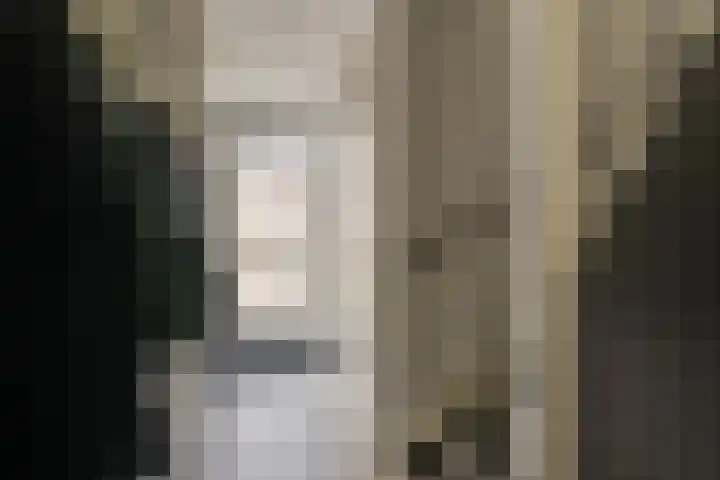 Hoeker 6 Dinteloord thumbnail 24
