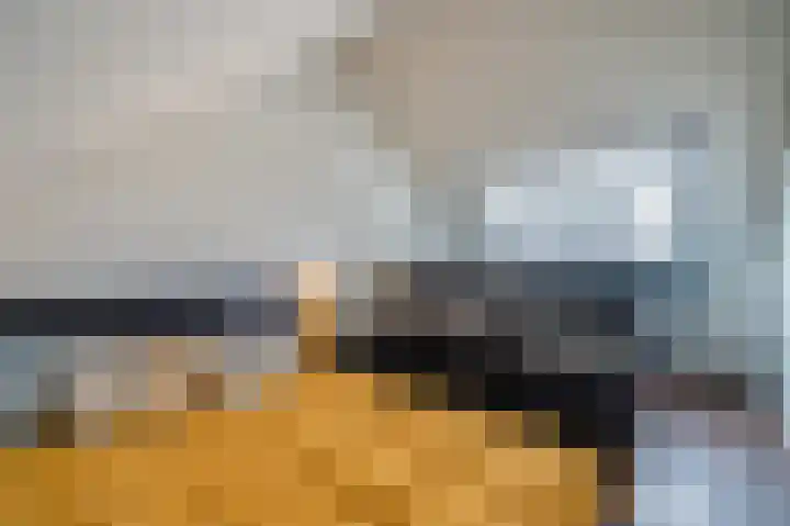 Hoeker 6 Dinteloord thumbnail 24