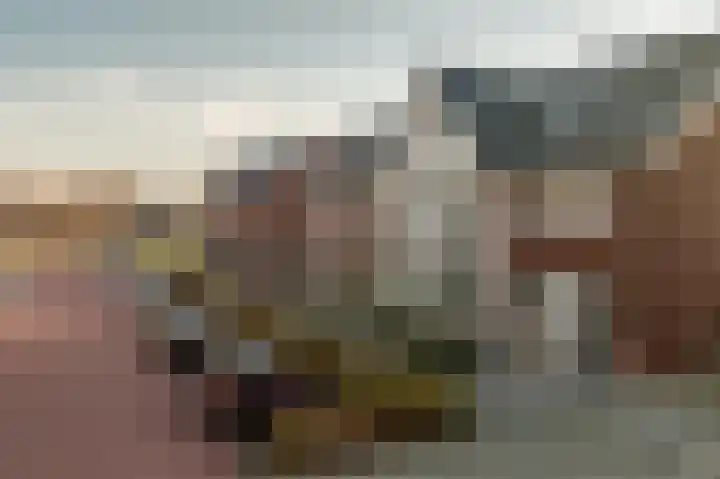 Hoeker 6 Dinteloord thumbnail 6