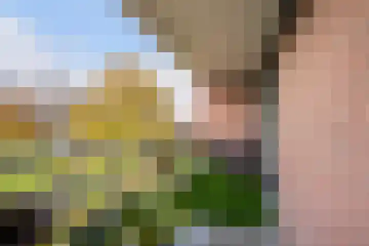 Hoeker 79 Maassluis thumbnail 13