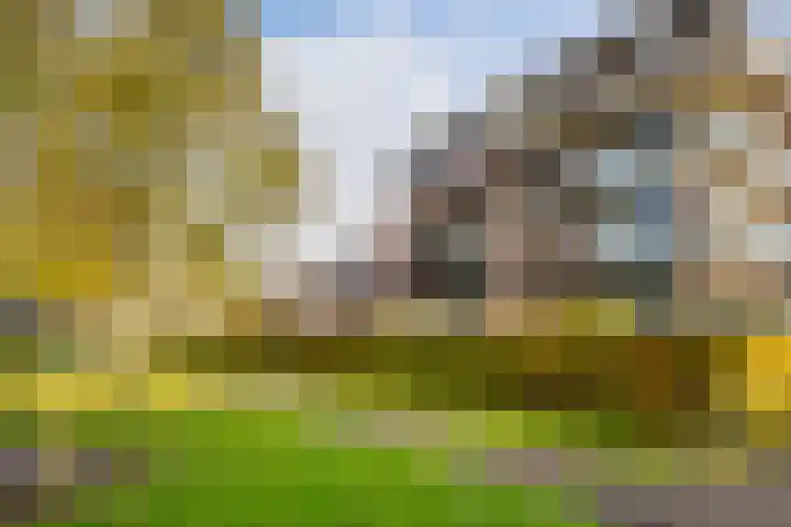 Hoeker 79 Maassluis thumbnail 33