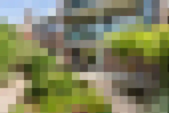 Hoeker 9 Maassluis thumbnail 23