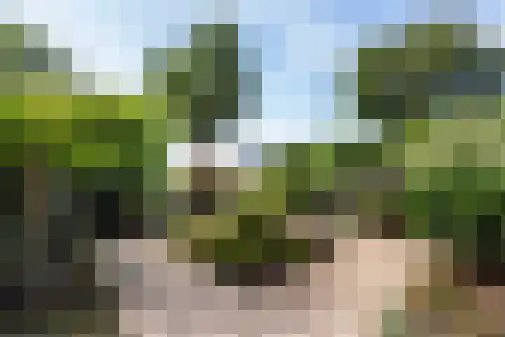 Hoeker 9 Maassluis thumbnail 4