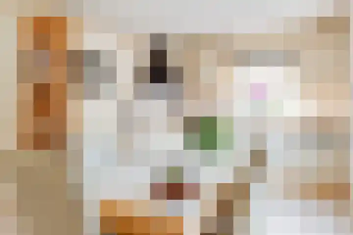 Hoekergoorn 8 Erm thumbnail 20