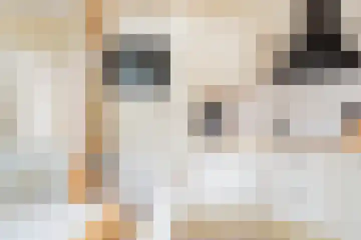 Hoekergoorn 8 Erm thumbnail 21