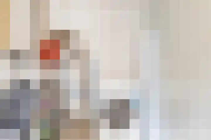 Hoekergoorn 8 Erm thumbnail 23