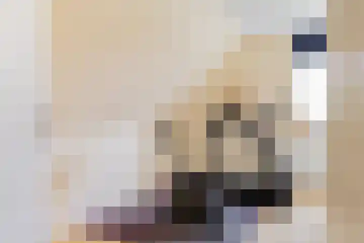 Hoekergoorn 8 Erm thumbnail 26