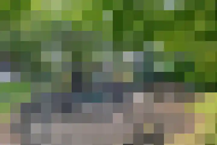 Hoekergoorn 8 Erm thumbnail 4
