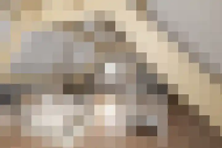 Hoekerhof 3 Harlingen thumbnail 10