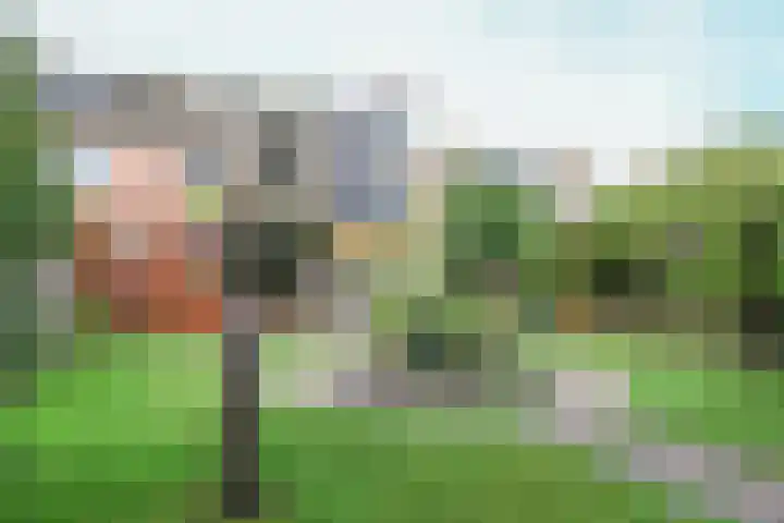 Hoekerhof 38 Harlingen thumbnail 48