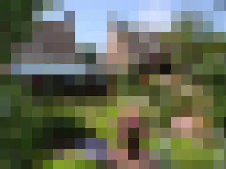 Hoekerhof 41 Harlingen thumbnail 7