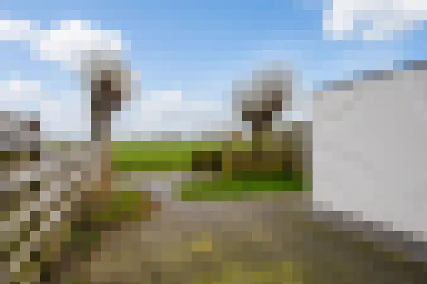 Hoekerhof 5 Harlingen thumbnail 16