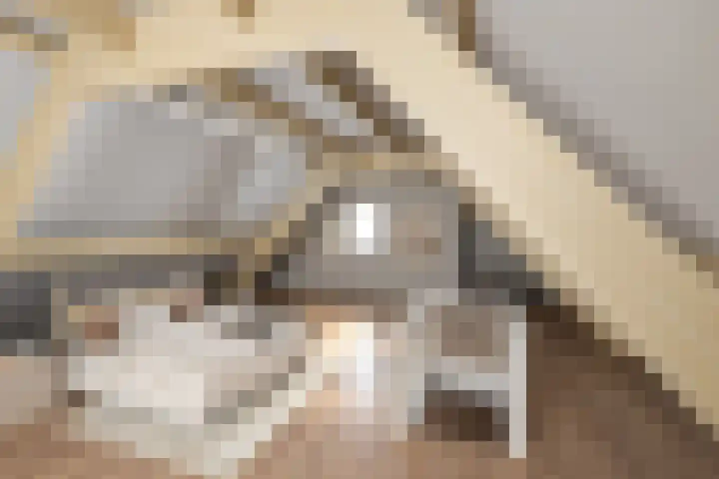 Hoekerhof 5 Harlingen thumbnail 33