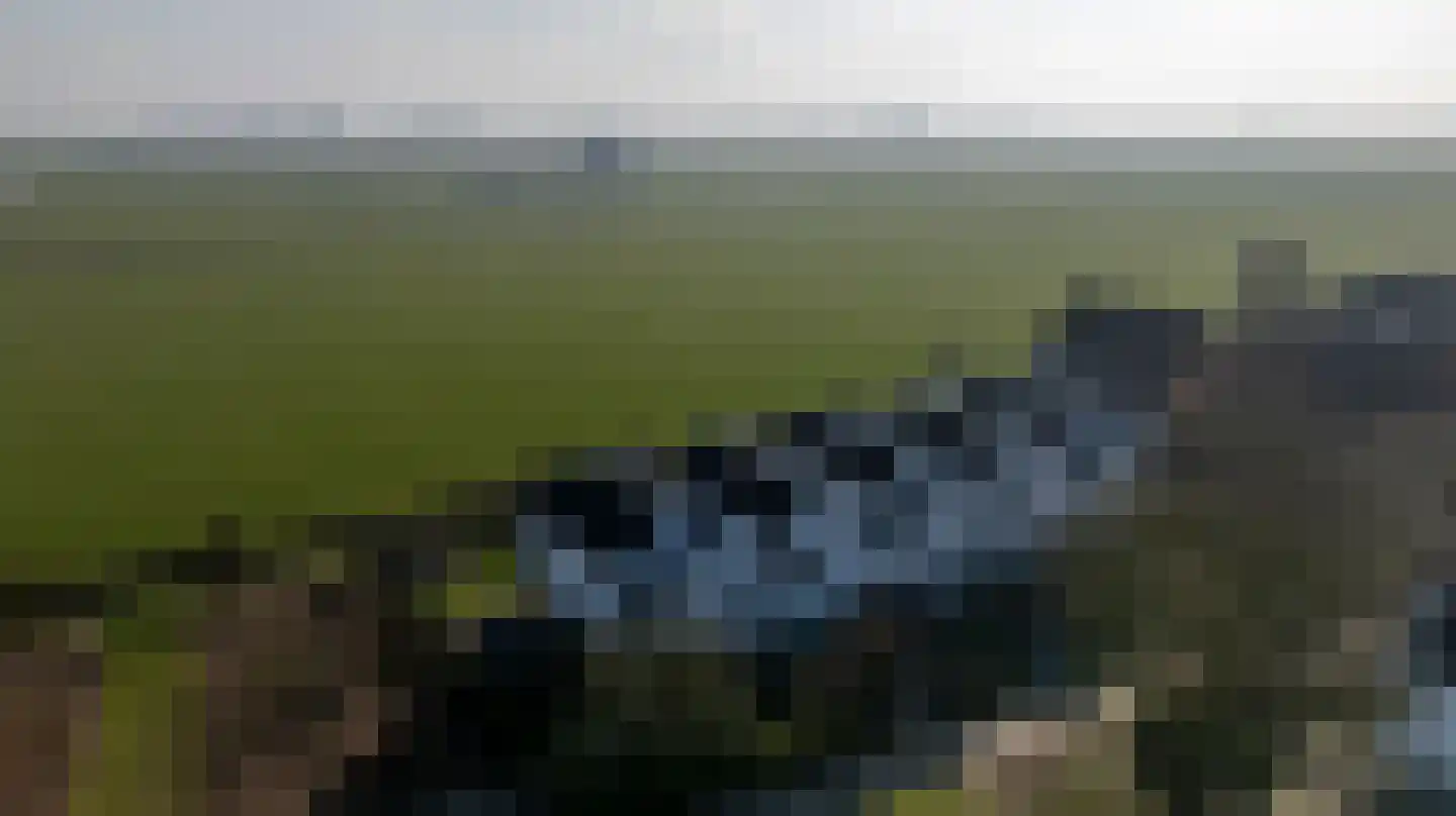 Hoekerhof 5 Harlingen thumbnail 36