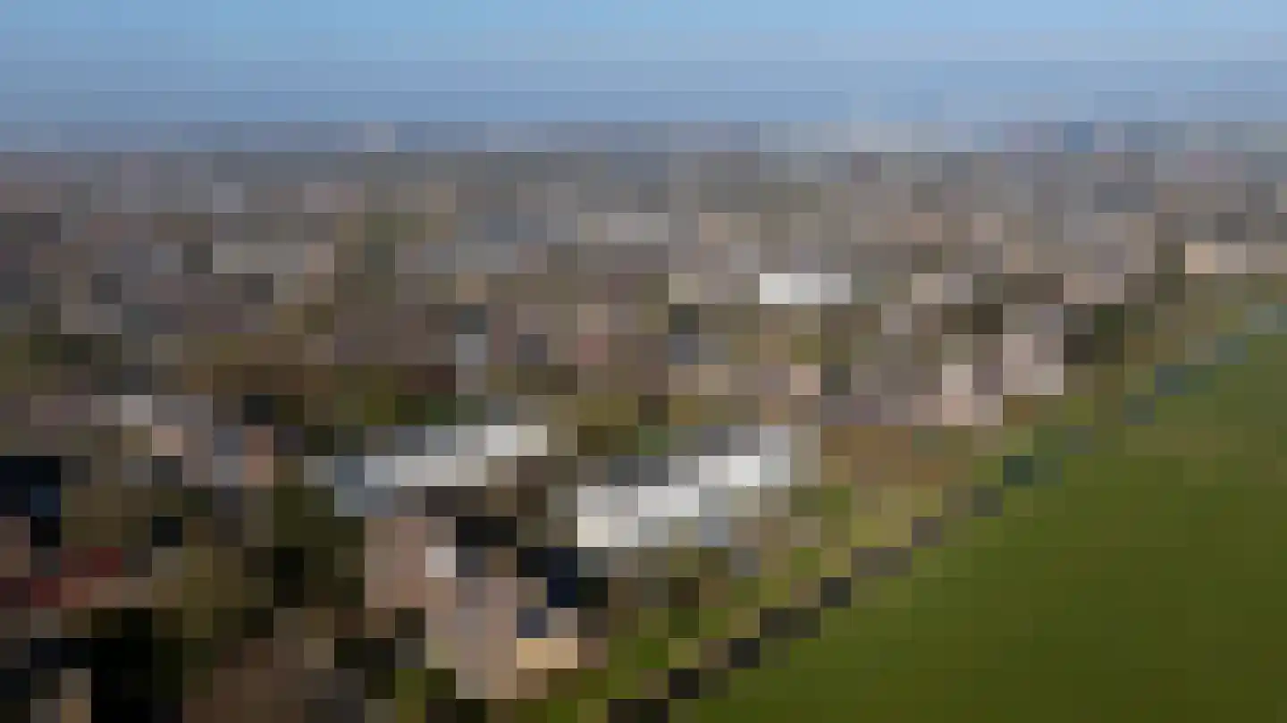 Hoekerhof 5 Harlingen thumbnail 37