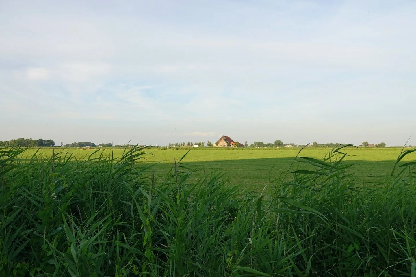 Hoekerhof 53 Harlingen thumbnail 37