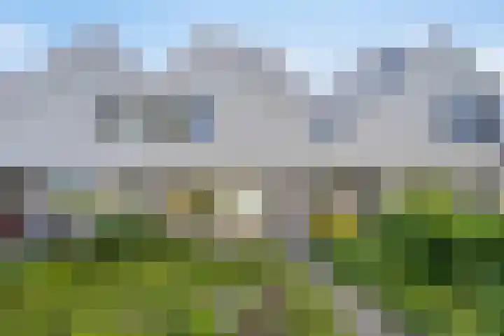 Hoekerhof 7 Harlingen thumbnail 4