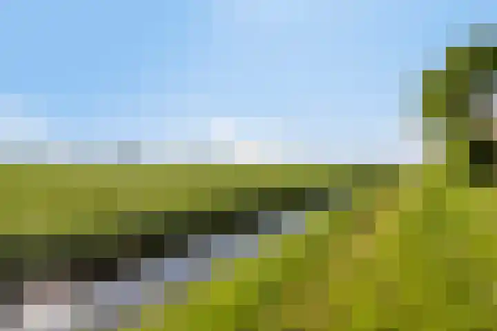 Hoekerhof 7 Harlingen thumbnail 6