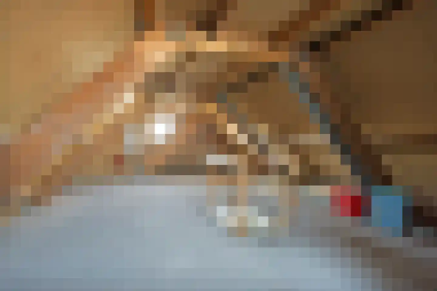 Hoekerhof 8 Harlingen thumbnail 31