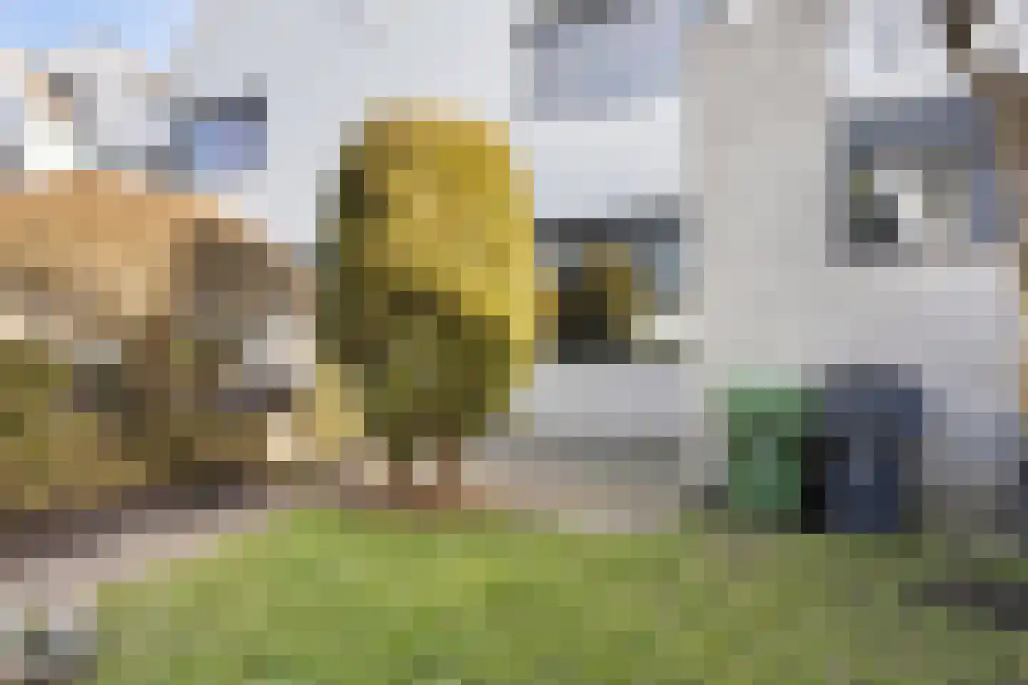 Hoekerhof 8 Harlingen thumbnail 36