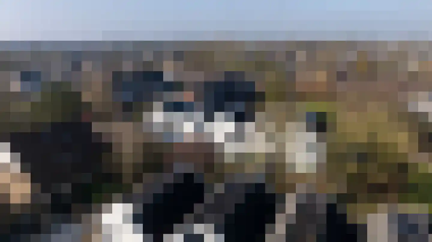 Hoekerhof 8 Harlingen thumbnail 5