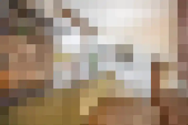 Hoekerkade 2 Zoetermeer thumbnail 17