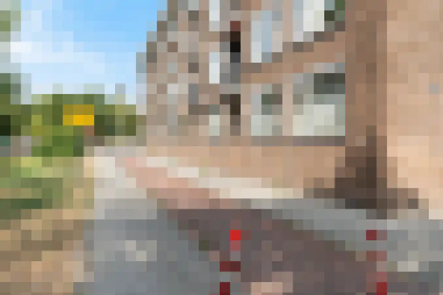 Hoekersingel 31 Rotterdam thumbnail 43