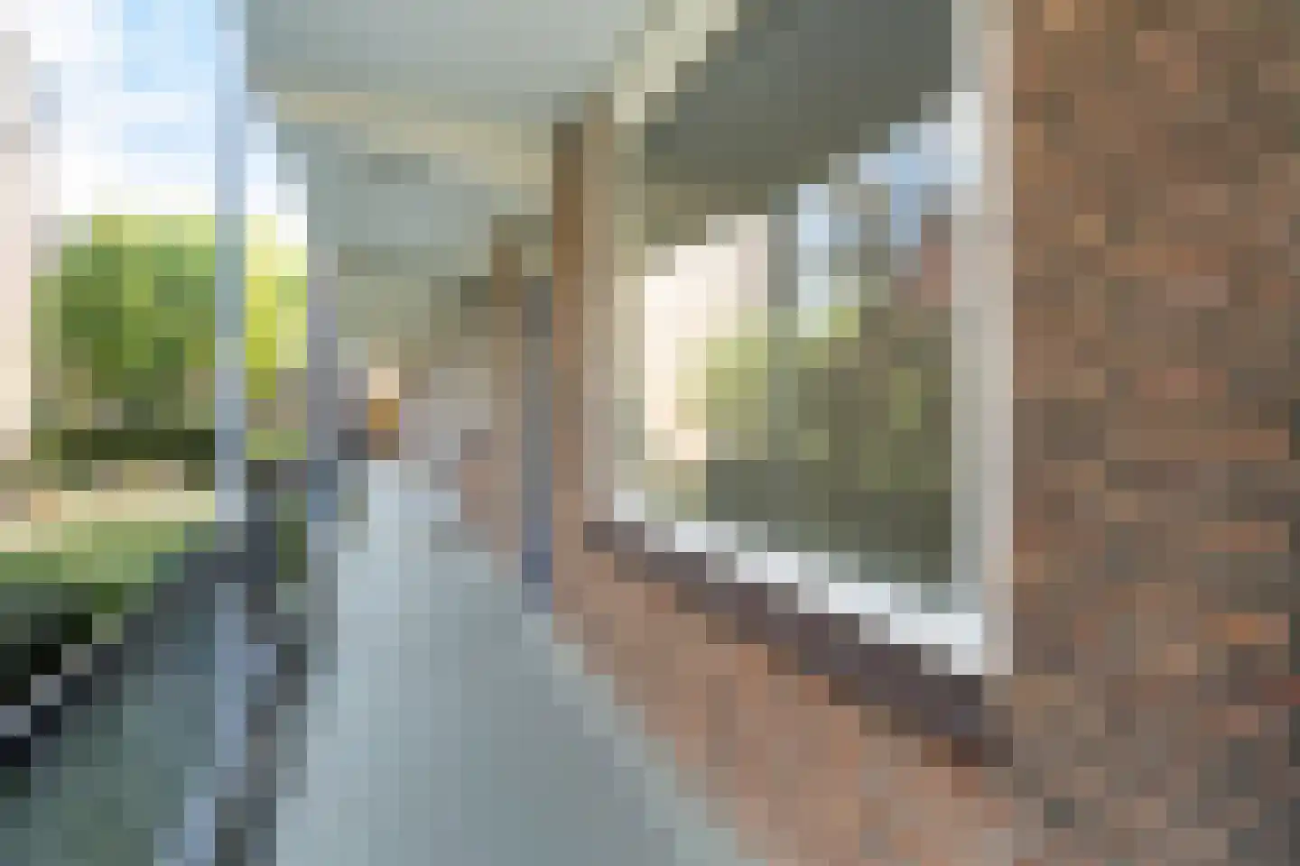 Hoekersingel 31 Rotterdam thumbnail 47