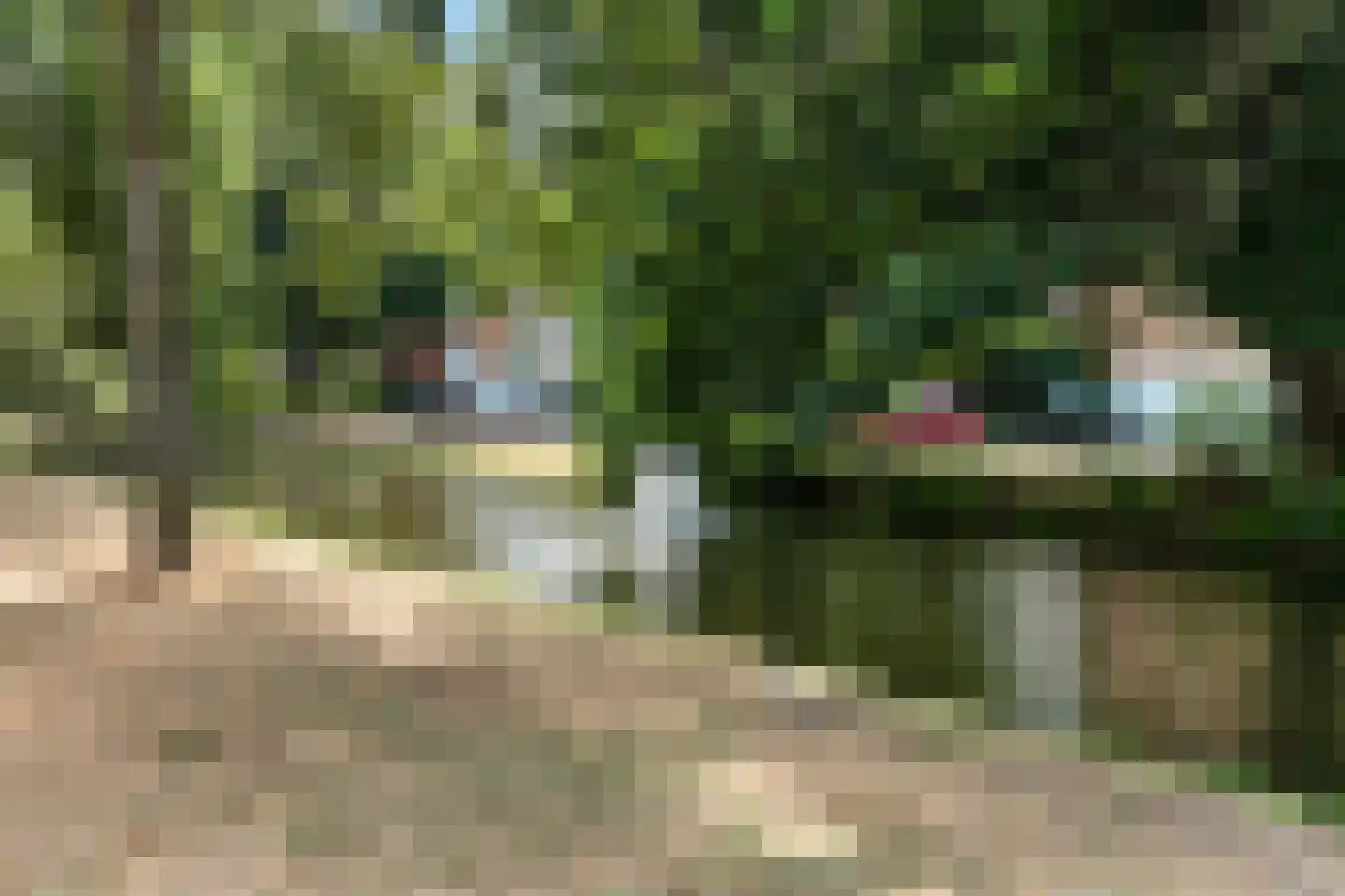 Hoekersingel 31 Rotterdam thumbnail 6