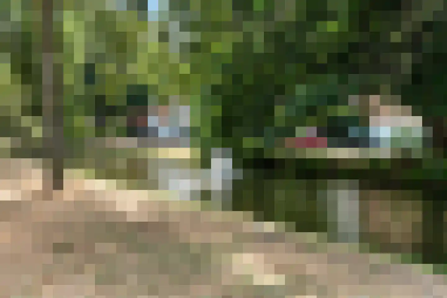 Hoekersingel 31 Rotterdam thumbnail 7