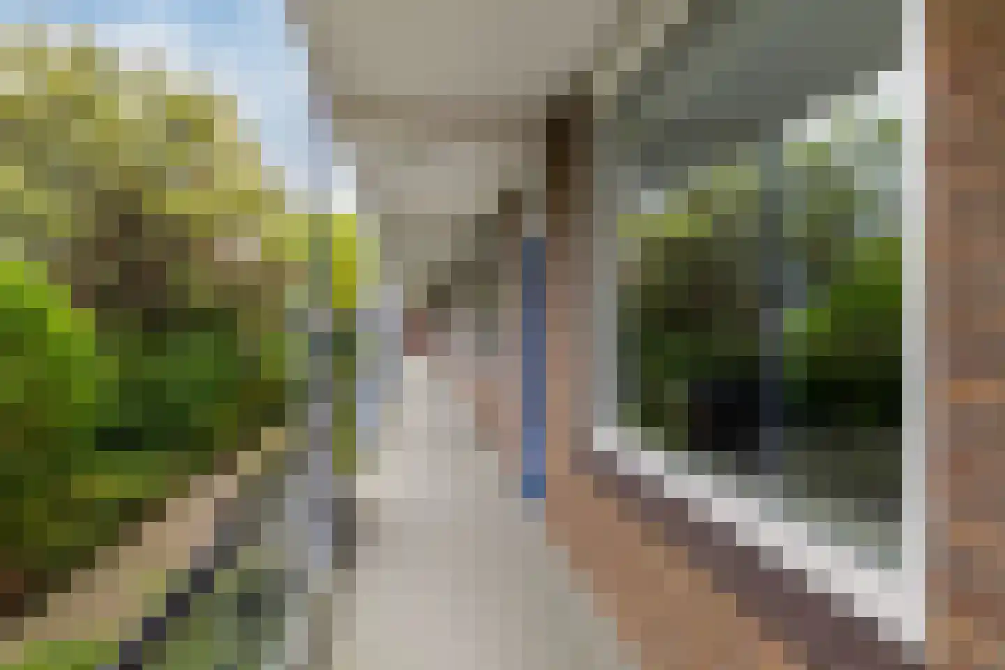 Hoekersingel 35 Rotterdam thumbnail 10