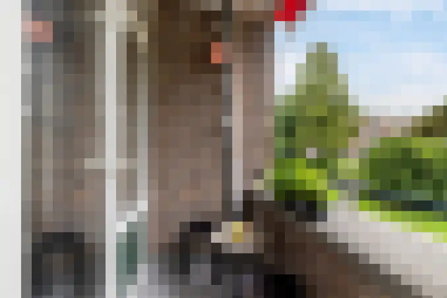 Hoekersingel 35 Rotterdam thumbnail 26