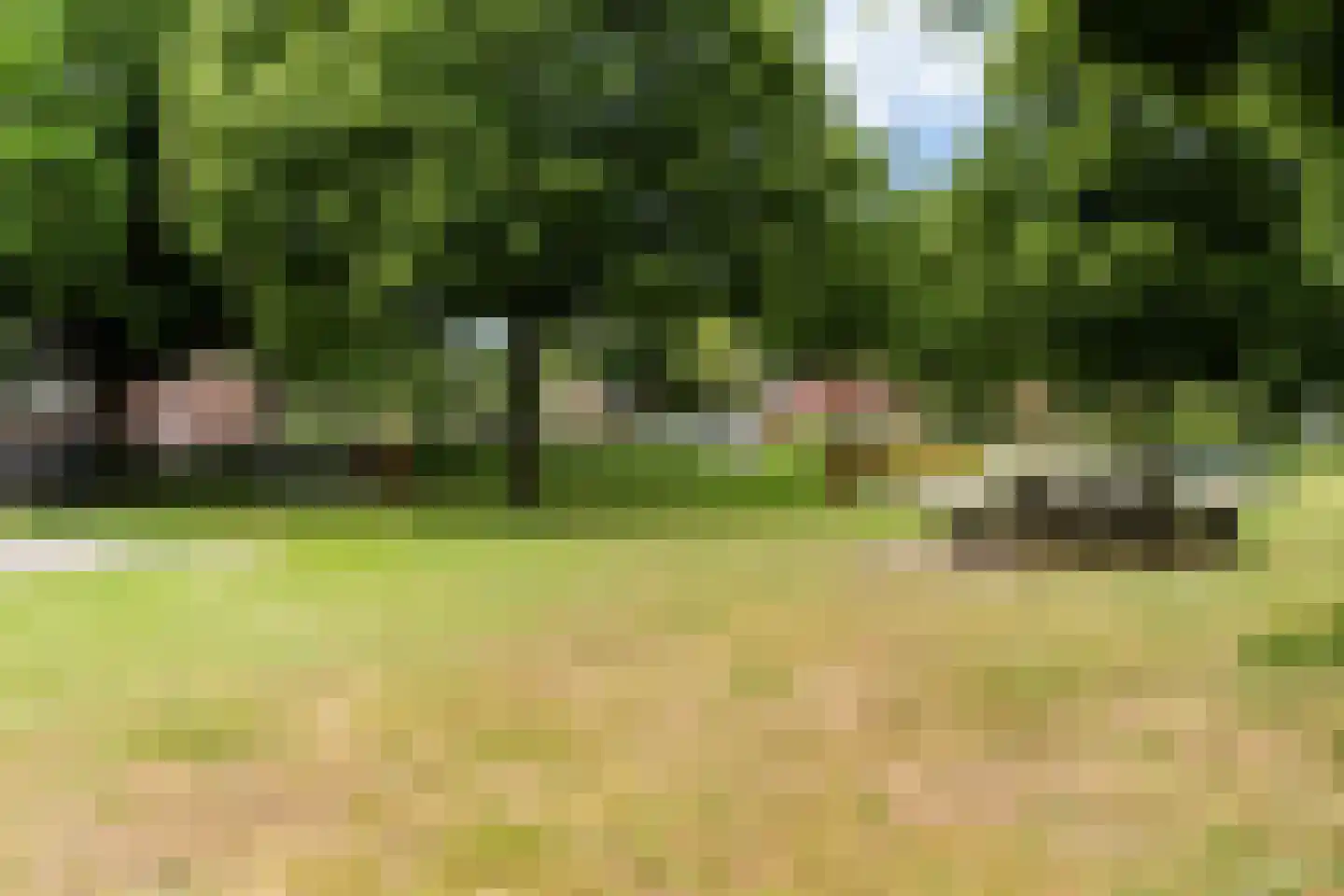 Hoekersingel 61 Rotterdam thumbnail 31