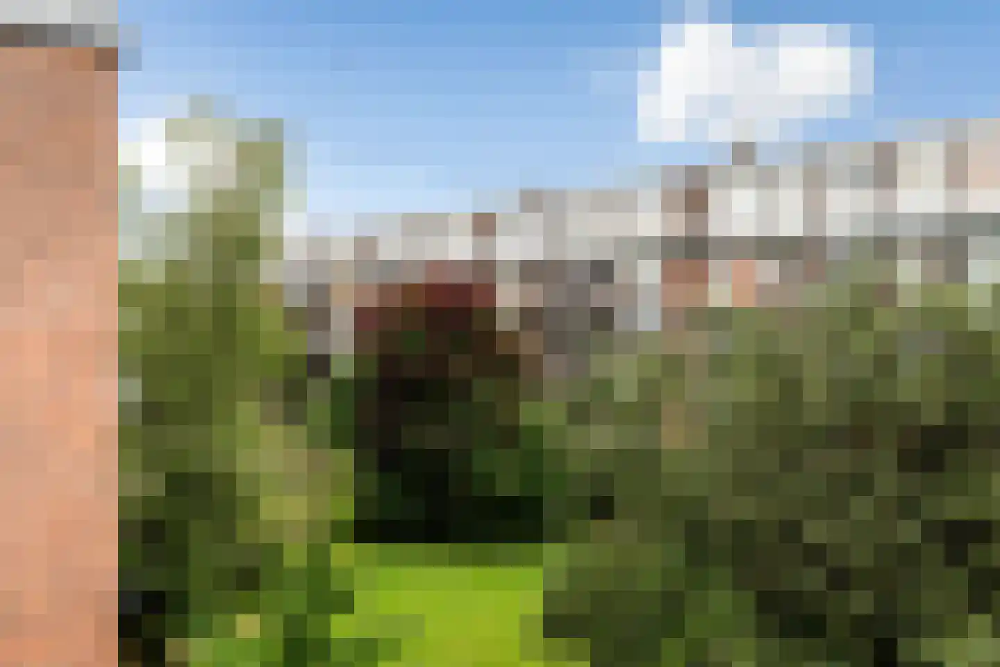 Hoekersingel 61 Rotterdam thumbnail 32